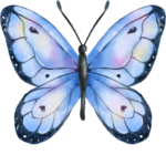 Papillon bleu